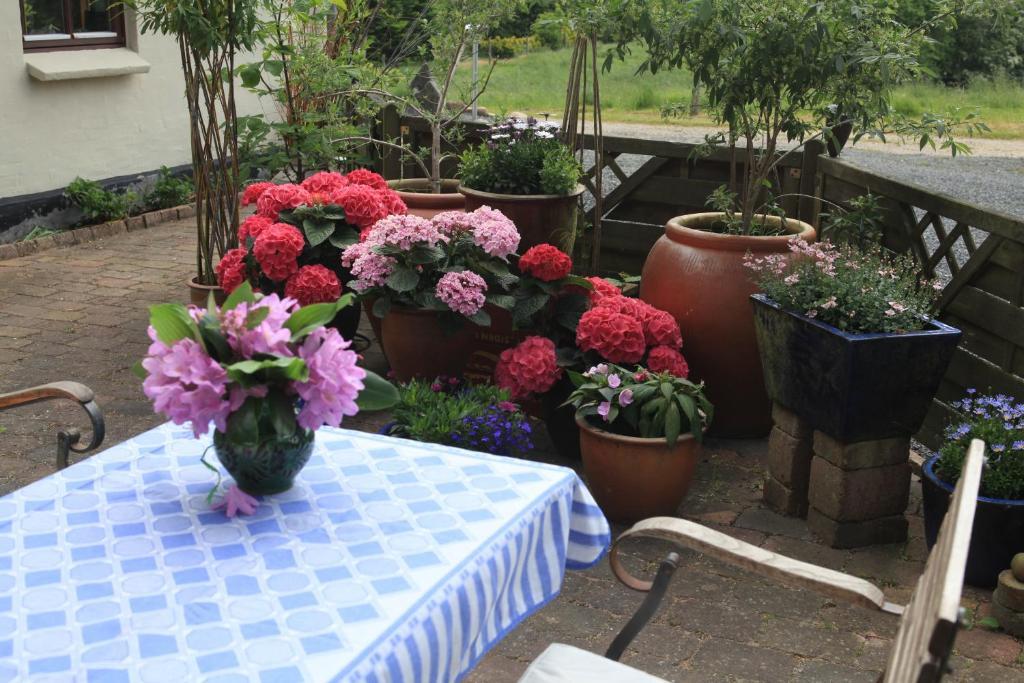 Bed & Breakfast Horsens Exterior foto